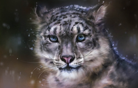 Snow leopard