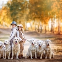 Children and dogs