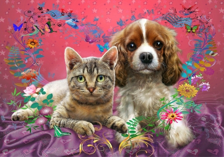 Friends - flower, purple, animal, pink, cute, puppy, cat, pisica, fantasy, butterfly, kitten, pet, luminos, couple, dog