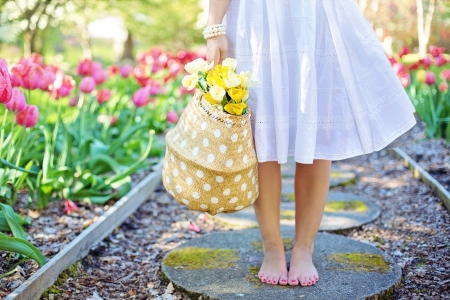 ♥ - flowers, abstract, basket, boook, soft