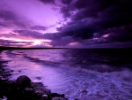 Purple Sunset