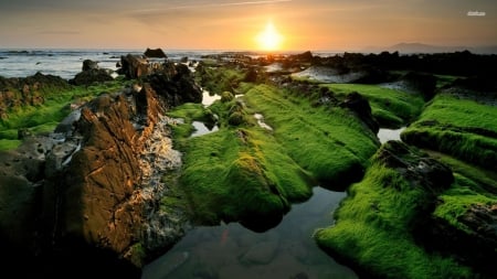 Breathtaking Beach in West