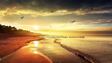 Birds Flying at the End of Day - birds, sunset, nature, beach, reflection, sky