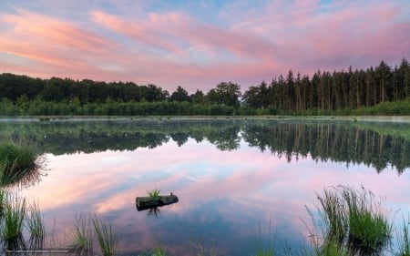 Lake at Evening - lake, forest, water, reflection, twilight