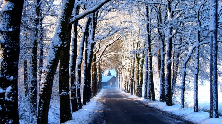 House at the End of the Snowy Road - nature, trees, snow, winter, house, road