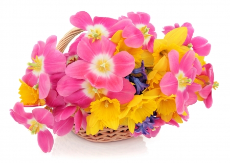 Flowers - easter, basket, yellow, spring, daffodils, flower, bouquet, pink