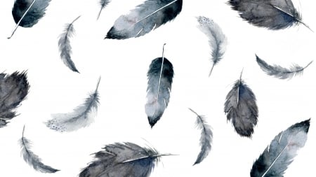 Feathers - feather, paper, pattern, black, bw, art, white, watercolor, texture