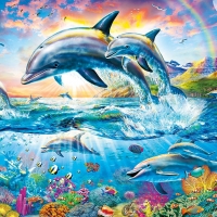 Dolphins