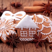 Gingerbread House And Spices