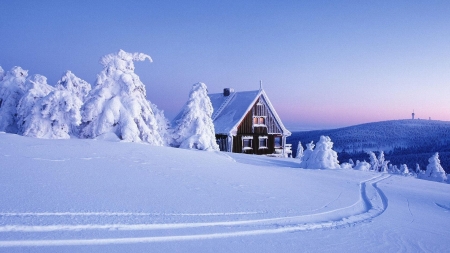 Path in the Big Snow - house, path, trees, white, winter, nature, season, snow