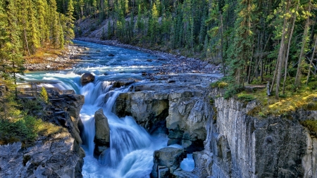 Sunwapta Falls - Jasper National Park (Canada) - trees, canada, nature, waterfall, falls, park, rocks