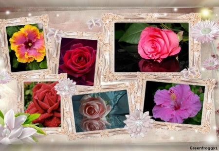 FRAMED FLOWERS