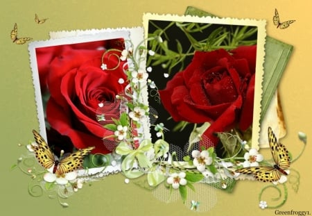 LOVELY ROSES - ROSES, IMAGE, LOVELY, TWO