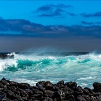 Volcanic Coast of Isla Lobos