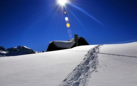 Sunny Winter Day - traces, winter, nature, lights, snow, sun