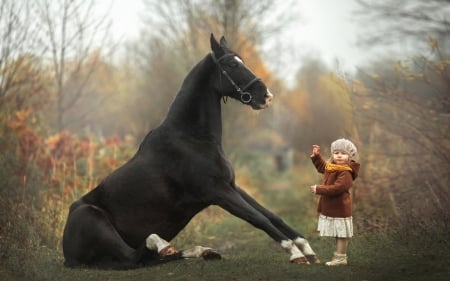 :) - girl, copil, cal, horse, child, black, animal, funny, cute, little