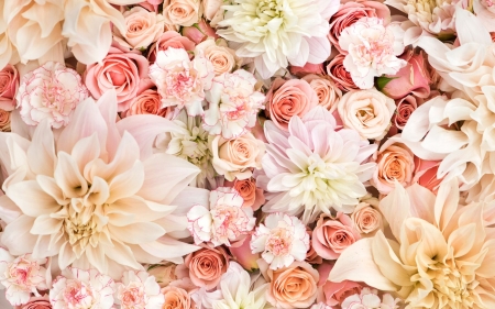 Flowers - white, flower, pink, texture, skin