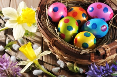 Happy Easter! - easter, colorful, basket, spring, egg, card, flower, daffodil