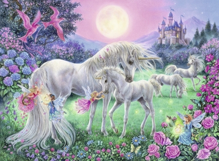 Fairies and unicorns