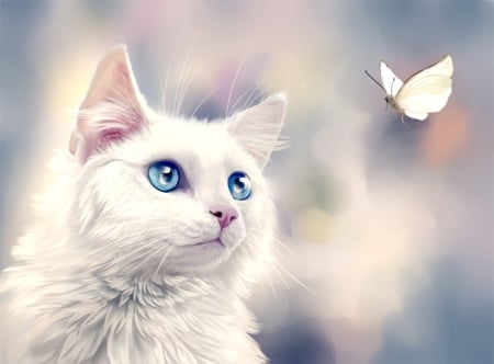 Sheila - fantasy, white, areot, butterfly, pisici, sheila, luminos, blue eyes