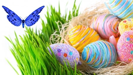 Blue Butterfly and Eggs - easter, butterfly, yarn, spring, firefox persona theme, eggs, decorated, grass