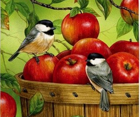 sweet apples - apples, birds, nature, cute, cool, art