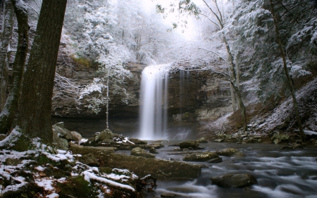 Winter Waterfall - trees, forest, snow, water, winter, waterfall, rocks