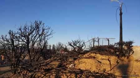 Thomas Fire Ruins - california, destruction, burnt, fire, ventura, ruins, destroyed, tree, thomas