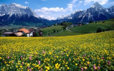 Countryside Splendor, France - nature, sky, houses, trees, france, field, mountains, cottages