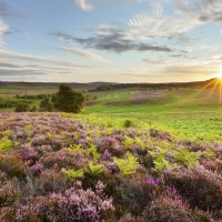 Beautiful Sunrise Over British Countryside