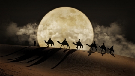 Desert - moon, nature, camel, desert, sand