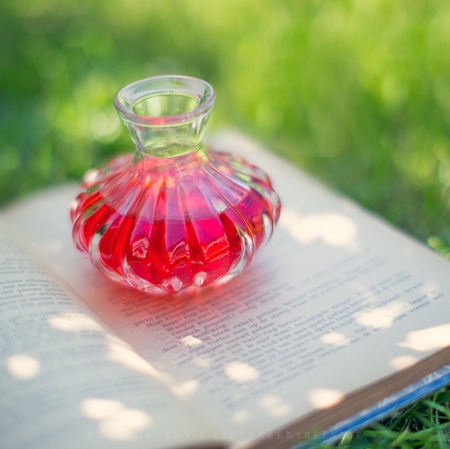 summer Feelings - summer, bottle, abstract, book