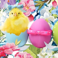 Easter Chick & Flowers