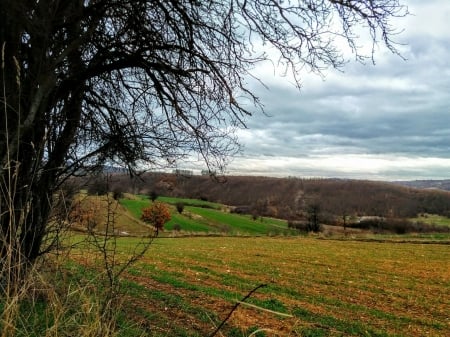 green fields - fields, kosovo, izvor, trees