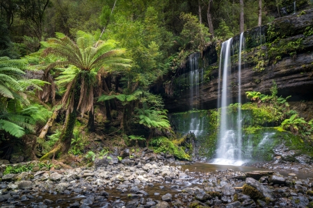 Russell Falls, Tasmania - nature, australia, trees, waterfall