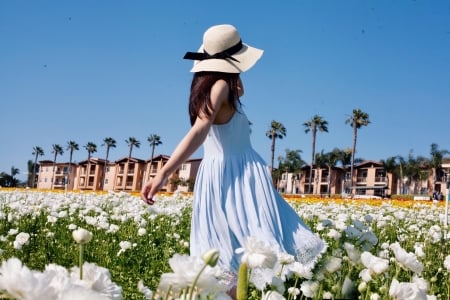 White Roses - white, roses, hat, field, woman, dress