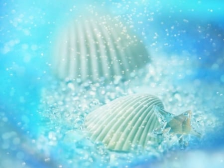 SHELLS IN BLUE - SEA, BLUE, WATER, SHELLS