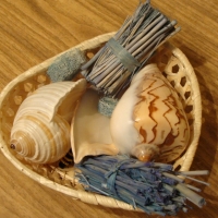 SHELLS IN BASKET