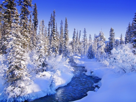 Winter Landscape - lake, forest, winter, landscape, trees, nature, snow