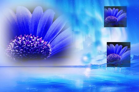 Blue Fantasy - sky, flower, nature, gerber