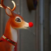 Rudolph