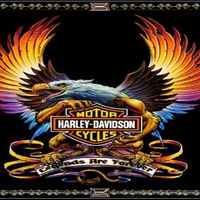 harley davidson bird