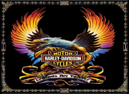 harley davidson bird