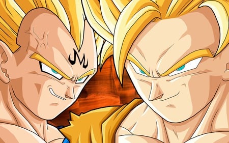 The Long Awaited Fight - fight, goku, vegeta