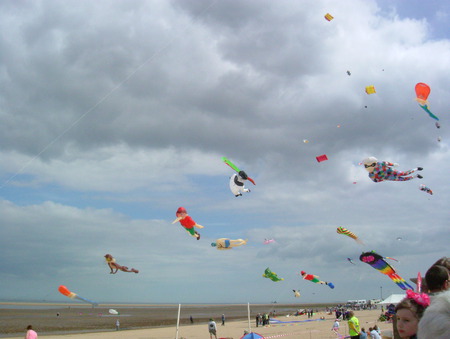 Flying by the Sea side - seaside, contest