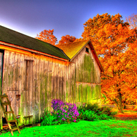 HDR Fall Scene