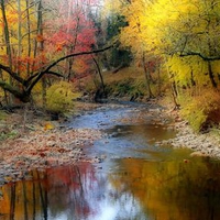 AUTUMN STREAM