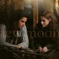 Twilight - Bella and jake