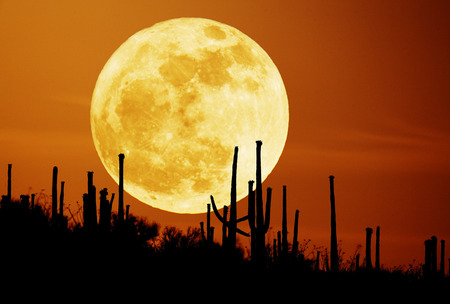 FULL MOON - orange, desert, full moon