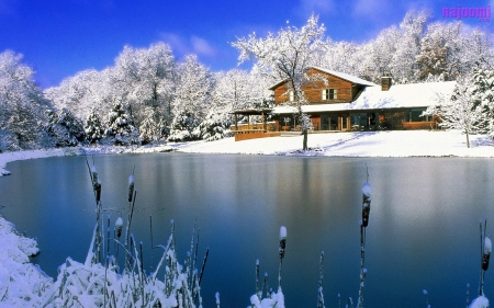 Houses Near the Pond